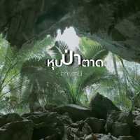 หุบป่าตาด