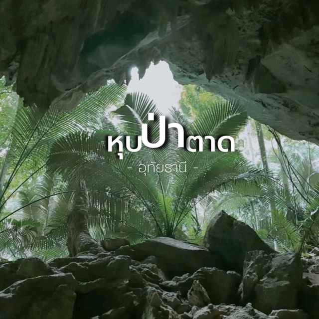 หุบป่าตาด