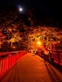 夜のライトアップ🌙愛知県1番の絶景紅葉スポット 「香嵐渓」こうらんけい