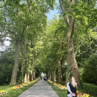 The Versailles of Swabia 