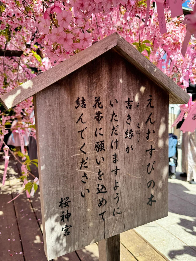 🎀リボン×桜🌸 の組み合わせが最強に可愛い神社⛩