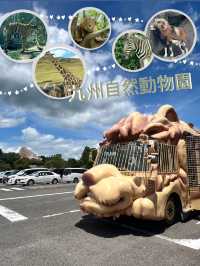 近距離餵動物嘅難忘體驗 