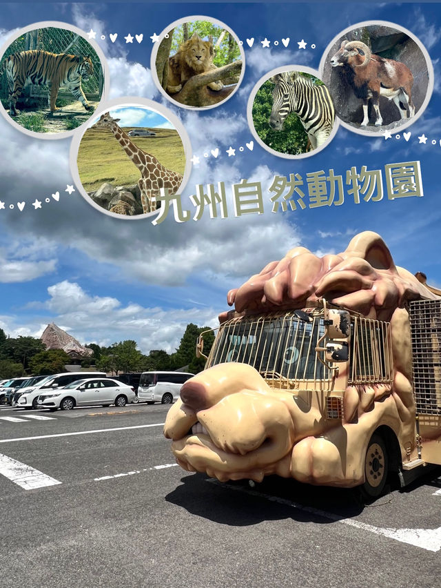 近距離餵動物嘅難忘體驗 