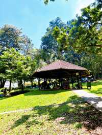 Peaceful Greenery Escape at Fort Canning Park