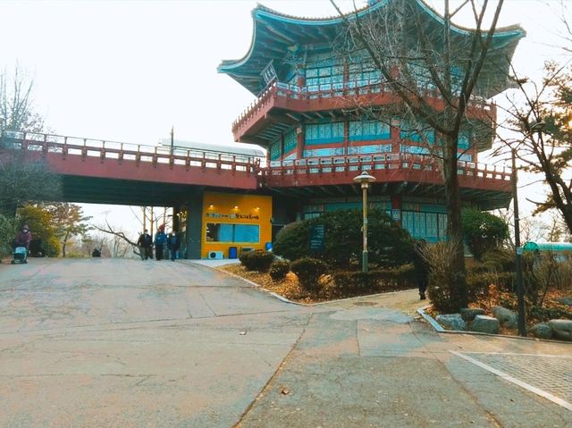 非常大充滿樂趣的遊樂場
