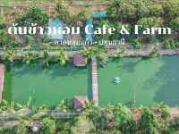 คาเฟ่บ้านๆชมวิวทุ่งนา ปทุมธานี