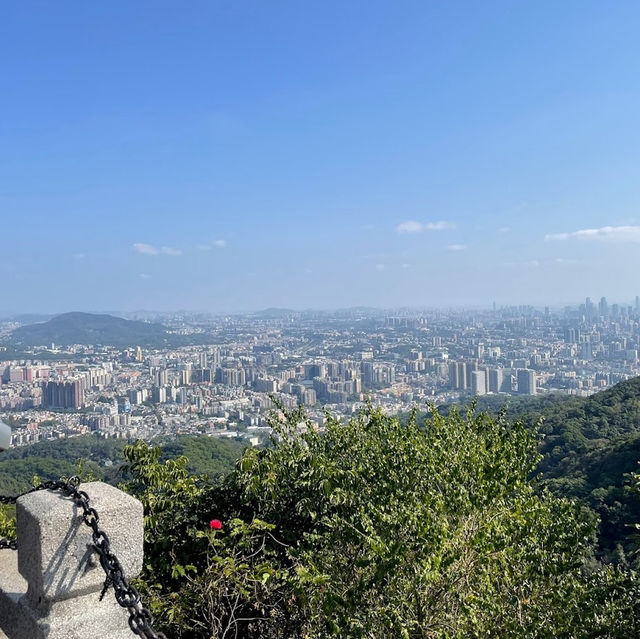 Nature’s Retreat in the City
