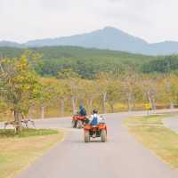 สิ้นปีนี้มารับลมหนาวกับบรรยากาศดี ๆ 🛴🌳