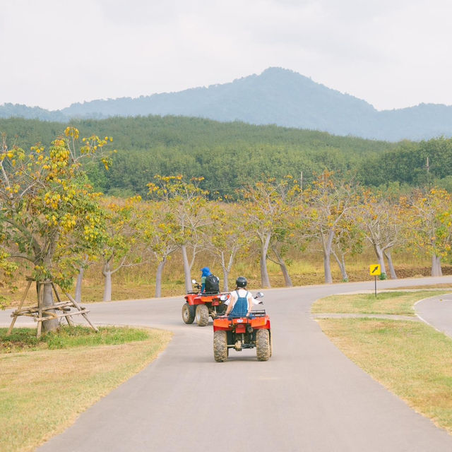 สิ้นปีนี้มารับลมหนาวกับบรรยากาศดี ๆ 🛴🌳