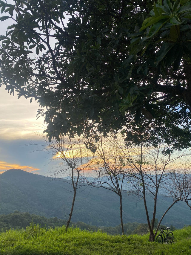 แคมป์ภูชี้ฟ้า | จ.เชียงราย ⛺️🌳☀️💫