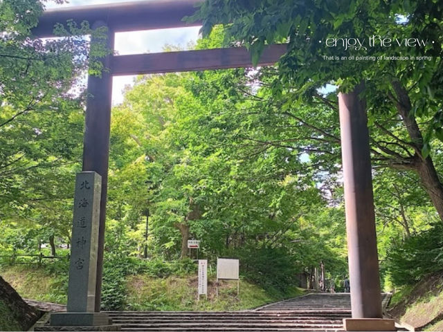 北海道神宮與伏見稻荷神社x綠色森林與紅色鳥居