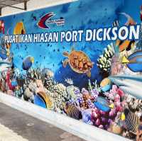 "Exploring Marine Wonders: A Visit to Pusat Ikan Hiasan Port Dickson"