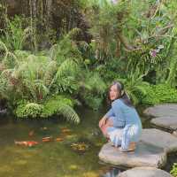 ใกล้บ้าน • In The Garden ~ คาเฟ่ในสวน
