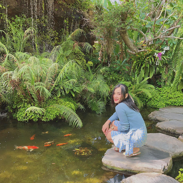 ใกล้บ้าน • In The Garden ~ คาเฟ่ในสวน