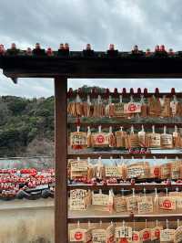 達摩神社！💗勝尾寺💗跟著這篇走不迷路