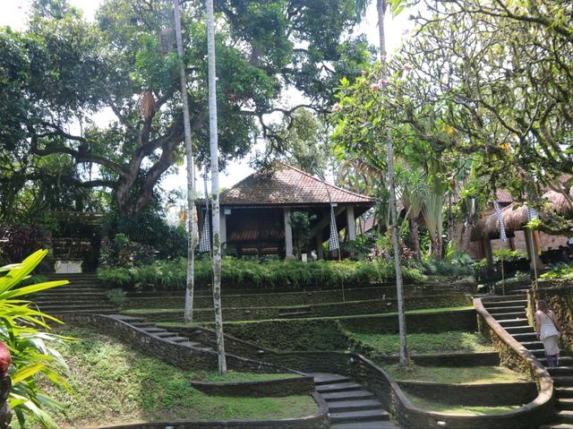 Ubud, the first place that I have visited in Bali