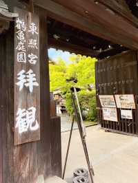 【京都】蓬莱式枯山水庭園