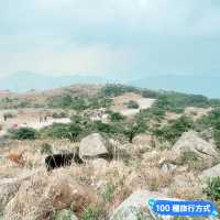 輕鬆行山～兩小時登香港最高峰大帽山