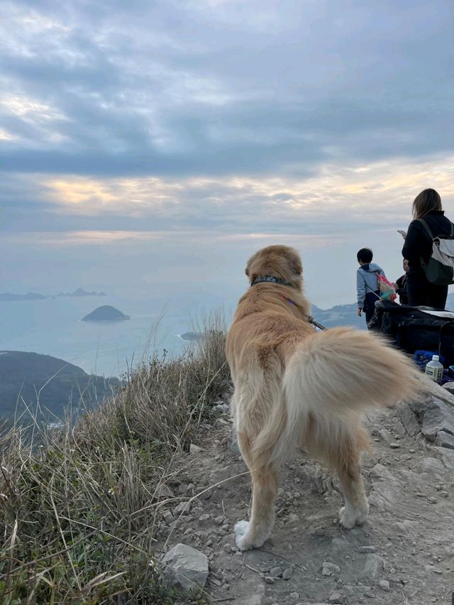 釣魚翁最短輕鬆的行山日出路線：狗狗都可以一齊睇日出