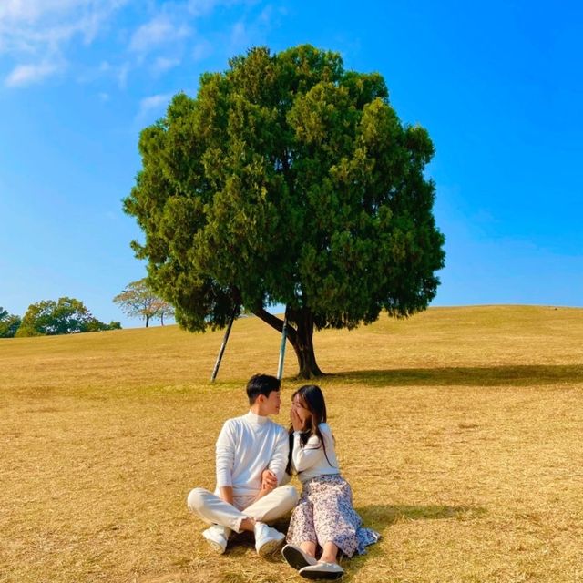 모든 꽃을 한번에 볼 수 있는 여기는⁉️