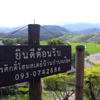 🌳สัมผัสธรรมชาติ นาขั้นบันได ป่าบงเปียง