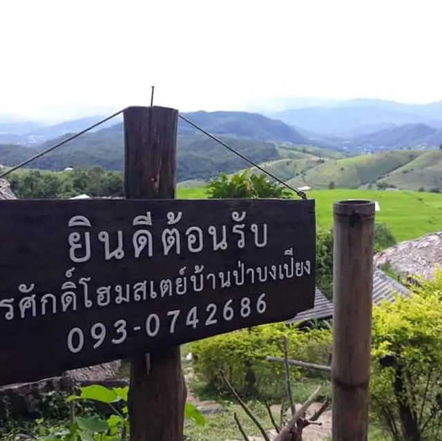🌳สัมผัสธรรมชาติ นาขั้นบันได ป่าบงเปียง