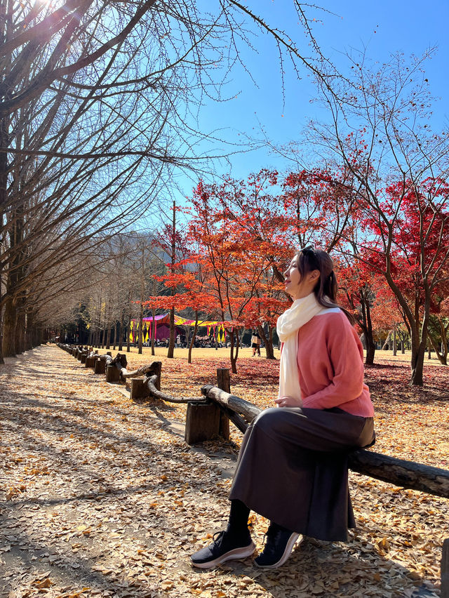 Instagrammable Fall Colors of Nami Island 🇰🇷