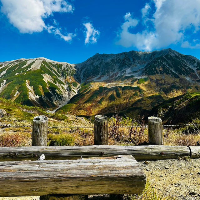 禮文岳：初秋色彩下的壯麗山景 🏞️🍂