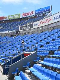 野球観戦だけじゃない！一般開放デーが最高だった！