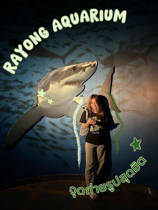จุดถ่ายรูปสุดฮิตที่ Rayong Aquarium 🦈