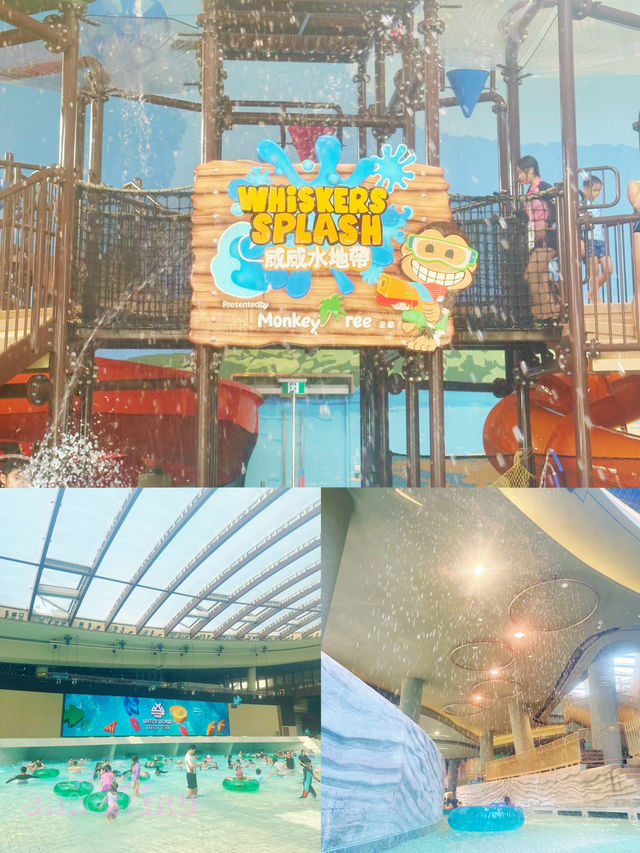 ⭐️遲了出的水上樂園🤭