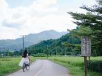 🌾 คาเฟ่บ่อเกลือที่ให้ฟีลเหมือนอยู่ชนบทญี่ปุ่น