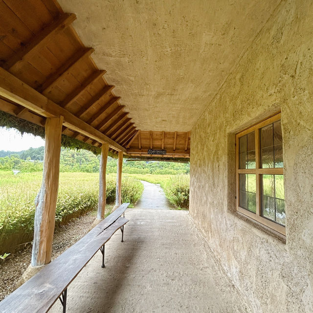 擁抱田園鄉間風景！關西旅行別忘了小眾景點「近江八幡」