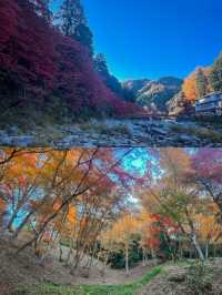 Enchanted Autumn in Korankei Gorge 🍁