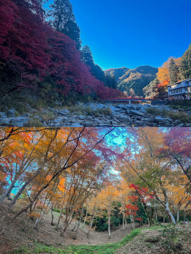 Enchanted Autumn in Korankei Gorge 🍁