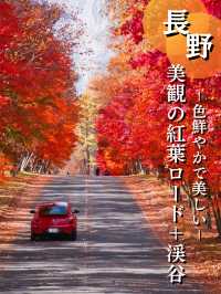 【長野】まさかの道中が美しすぎた🤩紅葉のトンネルが絵になるすぎるスポット🍁