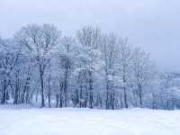 ขาวโอโม่ในตำนาน☃️สวรรค์ของคนรักหิมะ 