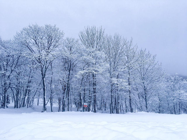ขาวโอโม่ในตำนาน☃️สวรรค์ของคนรักหิมะ 