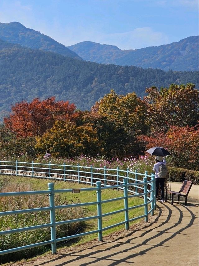 가을에는 단풍 명소로 유명한 대구 야외데이트 추천지 👫