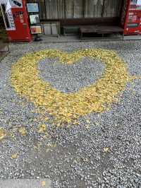 【東北×山形】東北の紅葉🍁名所  岩肌と奇石 紅葉🍁のコントラストが素晴らしい