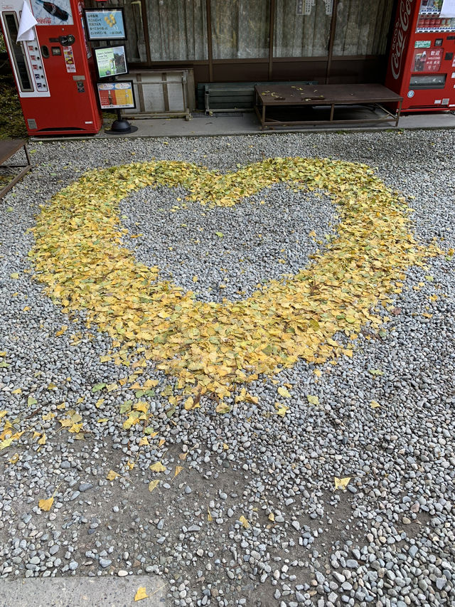 【東北×山形】東北の紅葉🍁名所  岩肌と奇石 紅葉🍁のコントラストが素晴らしい