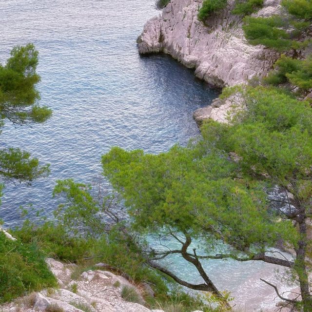 Campbell's Cove～海岸邊的悠閒時光 🌊🏖️