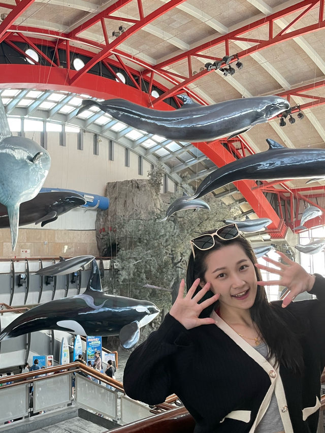 全台最大規模海生館🐬超親人小白鯨萌翻全場💕