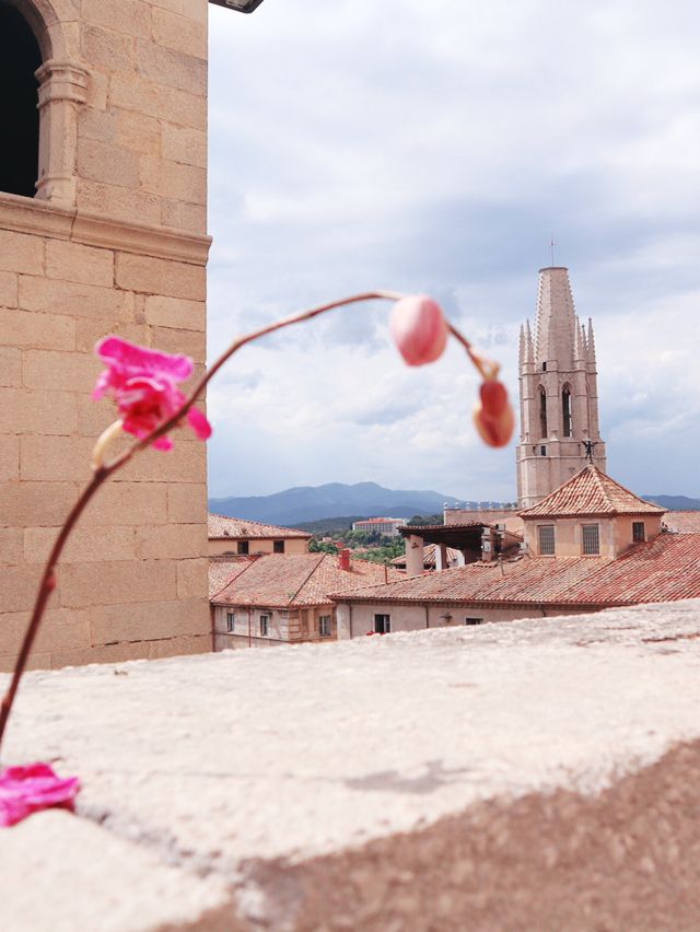 西班牙🇪🇸｜赫羅納主教座堂🏰 你認得這是哪一部電影的取景地嗎