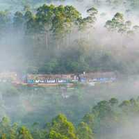 Munnar Magic: Unraveling the Charm of Kerala's Hill Station