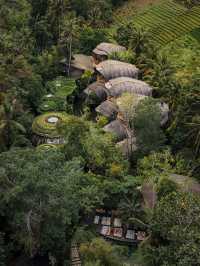 峇里 | 最具特色的Eco Resort 猶如進入阿凡達世界🙈