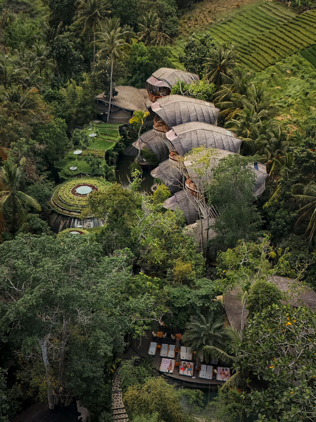 峇里 | 最具特色的Eco Resort 猶如進入阿凡達世界🙈