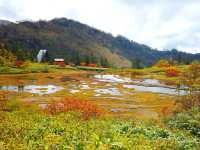 【新潟県】「日本でもっとも美しい場所」に選ばれた高谷池湿原