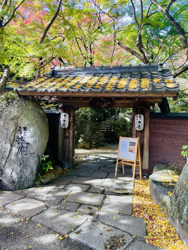 【朝倉カフェ】紅葉を楽しめる隠れ家のようなカフェ