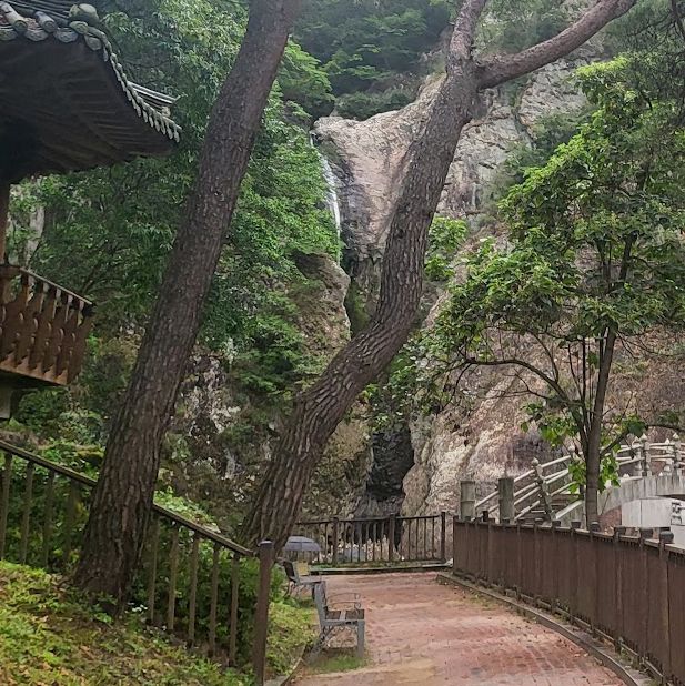 충북 가볼만한 곳